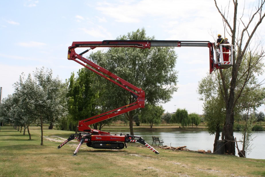 Tree care at height 