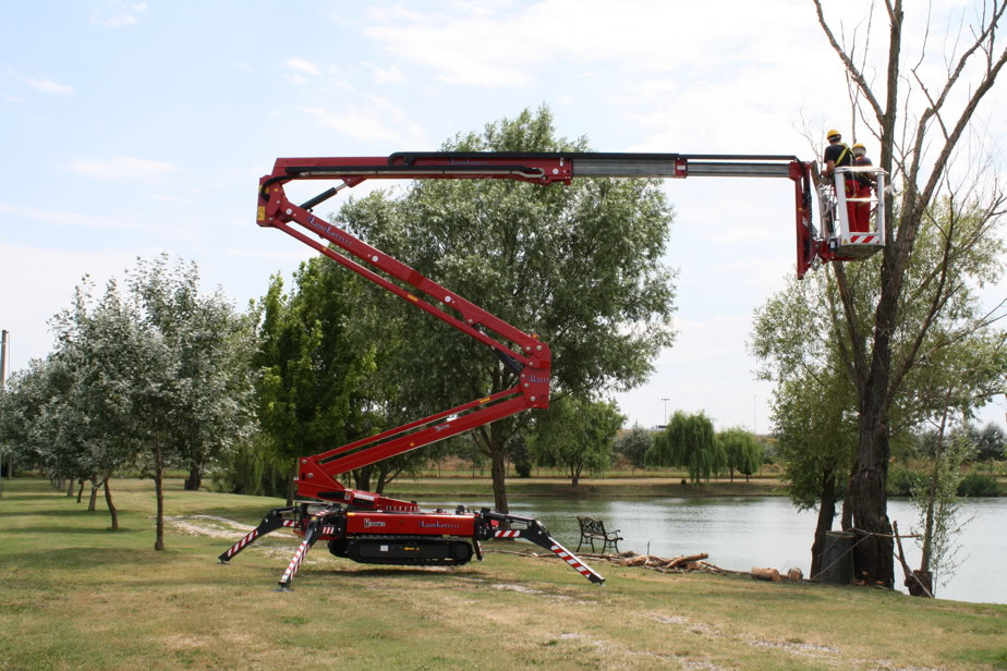 Tree care at height