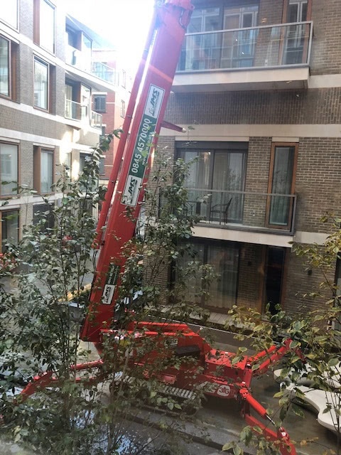 Teupen Spider Boom Hire