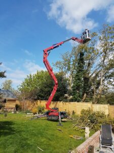 Hinowa Lightlift 15.70 Performance